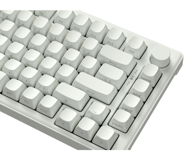 SMX Kishu Honey Switch Lumos white SMXG050 - 1417238 - zdjęcie 9